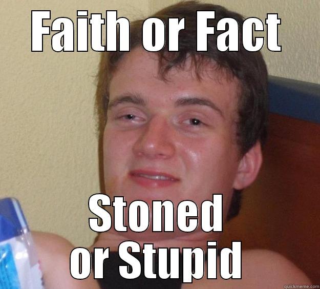 Stoned or Stupid - FAITH OR FACT STONED OR STUPID 10 Guy