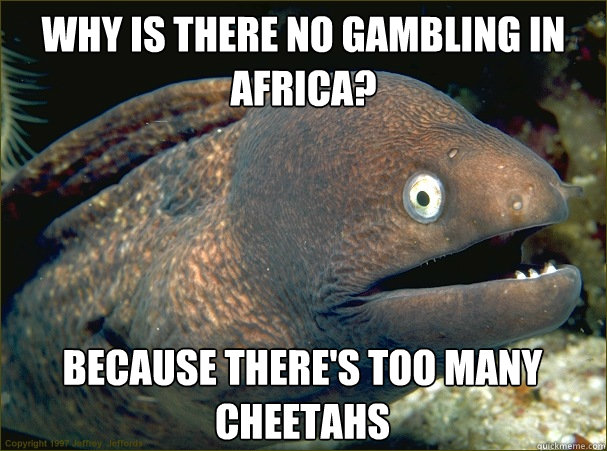 why is there no gambling in africa? Because there's too many cheetahs  Bad Joke Eel