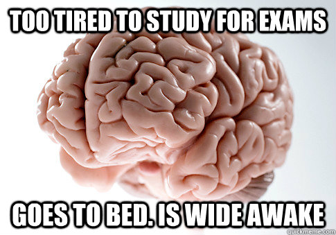 TOO TIRED TO STUDY FOR EXAMS GOES TO BED. IS WIDE AWAKE   Scumbag Brain