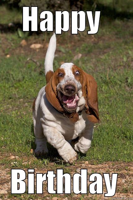 basset birthday - HAPPY  BIRTHDAY Misc