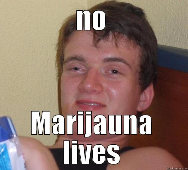 fghhnbvytn uy - NO MARIJAUNA LIVES 10 Guy