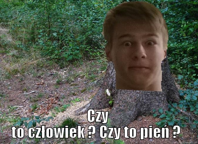  CZY TO CZŁOWIEK ? CZY TO PIEŃ ?  Misc