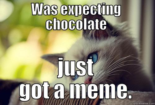 WAS EXPECTING CHOCOLATE JUST GOT A MEME. First World Problems Cat