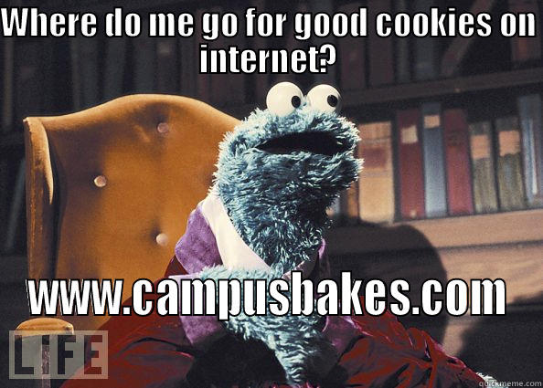 WHERE DO ME GO FOR GOOD COOKIES ON INTERNET? WWW.CAMPUSBAKES.COM Cookie Monster