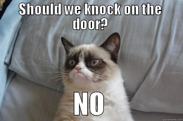 no cat - SHOULD WE KNOCK ON THE DOOR? NO Grumpy Cat