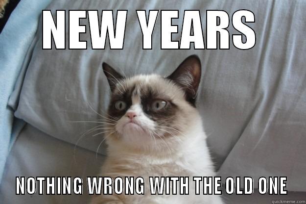 NEW YEARS NOTHING WRONG WITH THE OLD ONE Grumpy Cat