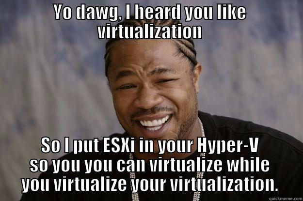 Training woes. - YO DAWG, I HEARD YOU LIKE VIRTUALIZATION SO I PUT ESXI IN YOUR HYPER-V SO YOU YOU CAN VIRTUALIZE WHILE YOU VIRTUALIZE YOUR VIRTUALIZATION. Xzibit meme