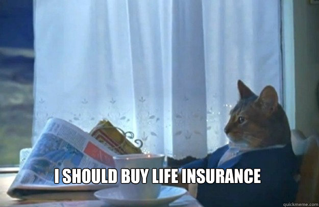 I should buy life insurance   Sophisticated Cat