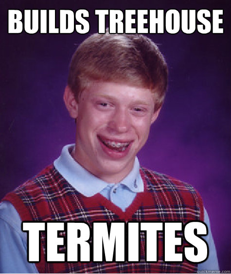 builds treehouse termites - builds treehouse termites  Bad Luck Brian