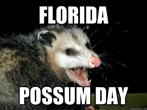 florida possum day  