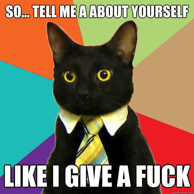 So... Tell me a about yourself LIKE I GIVE A FUCK   Business Cat