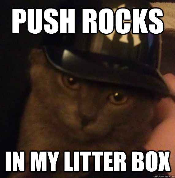 push rocks in my litter box - push rocks in my litter box  Ghetto Cat