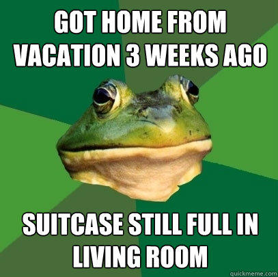 got home from vacation 3 weeks ago suitcase still full in living room  Foul Bachelor Frog