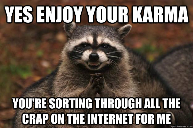 Yes enjoy your karma you're sorting through all the crap on the internet for me - Yes enjoy your karma you're sorting through all the crap on the internet for me  Evil Plotting Raccoon