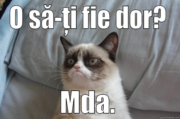 O SĂ-ȚI FIE DOR? MDA. Grumpy Cat