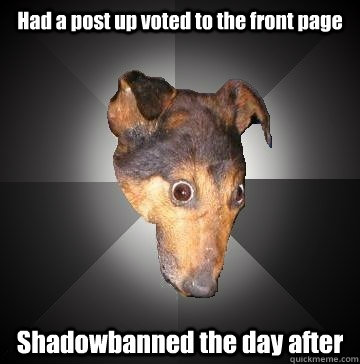 Had a post up voted to the front page Shadowbanned the day after  Depression Dog