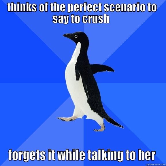 THINKS OF THE PERFECT SCENARIO TO SAY TO CRUSH  FORGETS IT WHILE TALKING TO HER Socially Awkward Penguin