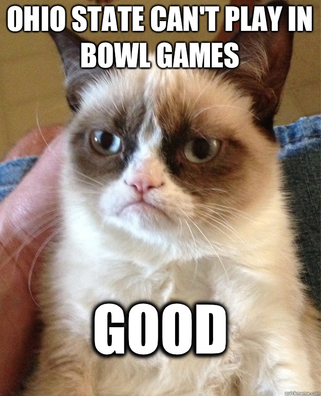 Ohio state can't play in bowl games Good  Grumpy Cat