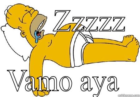       ZZZZZ VAMO AYA  Misc