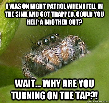 I was on night patrol when I fell in the sink and got trapped. Could you help a brother out? Wait... why are you turning on the tap?!  Misunderstood Spider