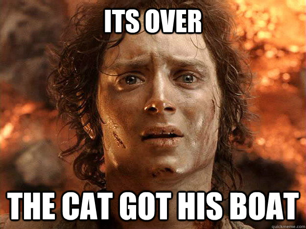 its over The cat got his boat  Finished Frodo