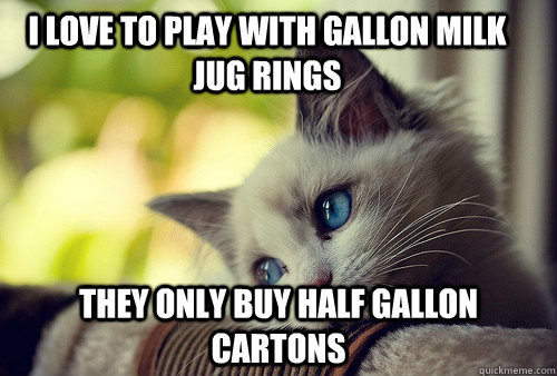 I love to play with gallon milk jug rings They only buy half gallon cartons - I love to play with gallon milk jug rings They only buy half gallon cartons  First World Problems Cat