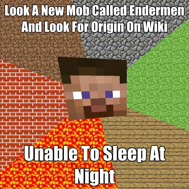 Look A New Mob Called Endermen And Look For Origin On Wiki Unable To Sleep At Night  Minecraft