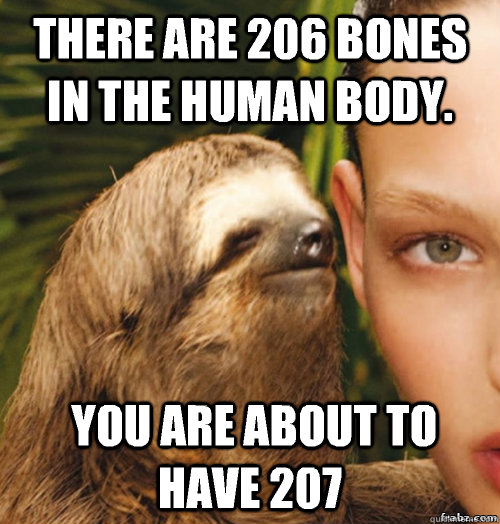 There are 206 bones in the human body.  you are about to have 207  rape sloth