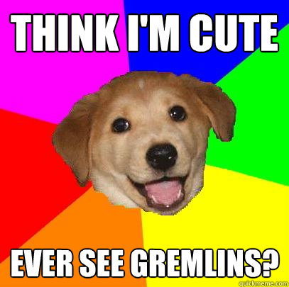 think i'm cute ever see gremlins?  Advice Dog