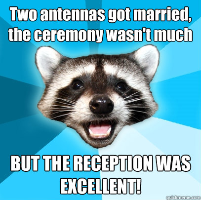 Two antennas got married, the ceremony wasn't much BUT THE RECEPTION WAS EXCELLENT!  Lame Pun Coon