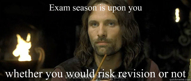 Exam season is upon you whether you would risk revision or not  Reality Aragorn