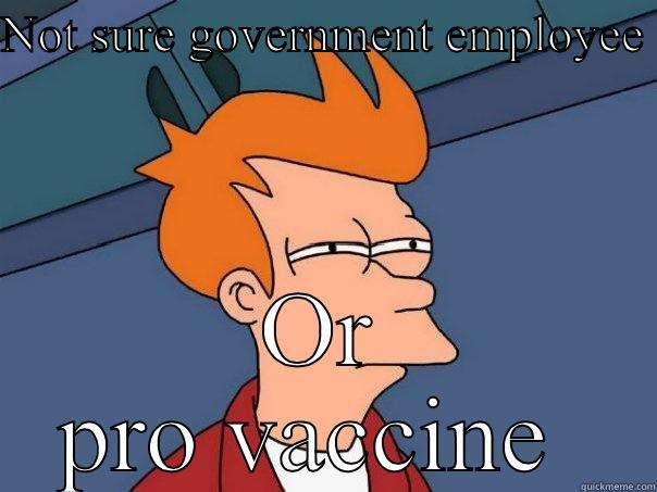 Tailing fry - NOT SURE GOVERNMENT EMPLOYEE  OR PRO VACCINE  Futurama Fry