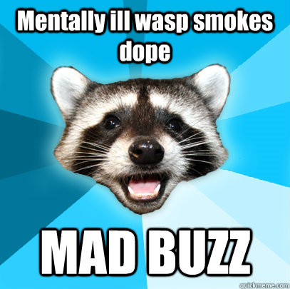 Mentally ill wasp smokes dope MAD BUZZ - Mentally ill wasp smokes dope MAD BUZZ  Lame Pun Coon