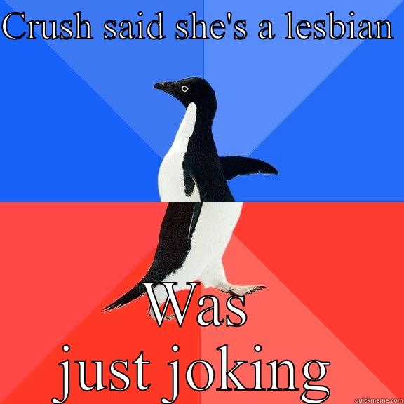 CRUSH SAID SHE'S A LESBIAN  WAS JUST JOKING Socially Awkward Awesome Penguin