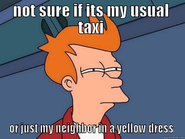 NOT SURE IF ITS MY USUAL TAXI OR JUST MY NEIGHBOR IN A YELLOW DRESS Futurama Fry