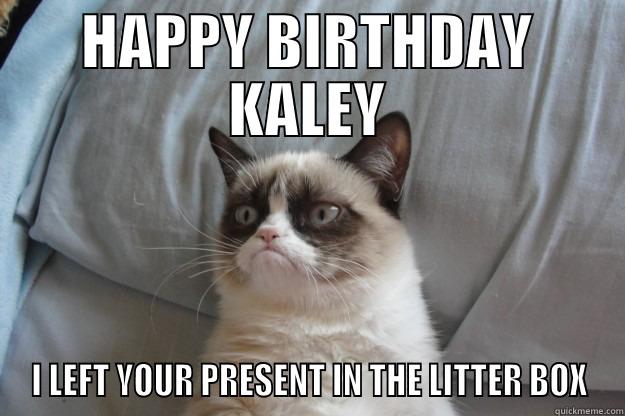 HAPPY BIRTHDAY KALEY !! - HAPPY BIRTHDAY KALEY I LEFT YOUR PRESENT IN THE LITTER BOX Grumpy Cat