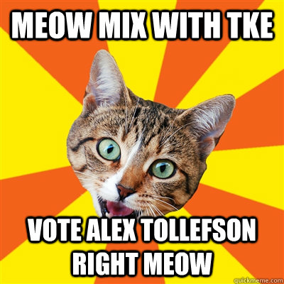 Meow mix with tke Vote Alex tollefson right meow  Bad Advice Cat