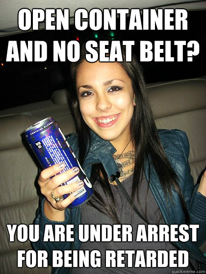 Open Container and No Seat Belt? You are under arrest for being Retarded  