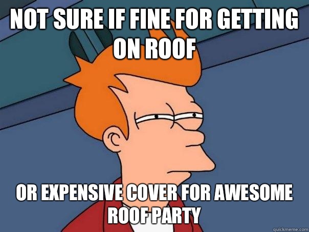 Not sure if fine for getting on roof Or expensive cover for awesome roof party  Futurama Fry