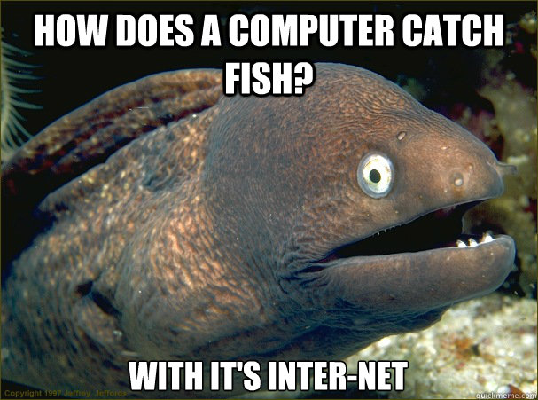 How does a computer catch fish? With it's inter-net  Bad Joke Eel