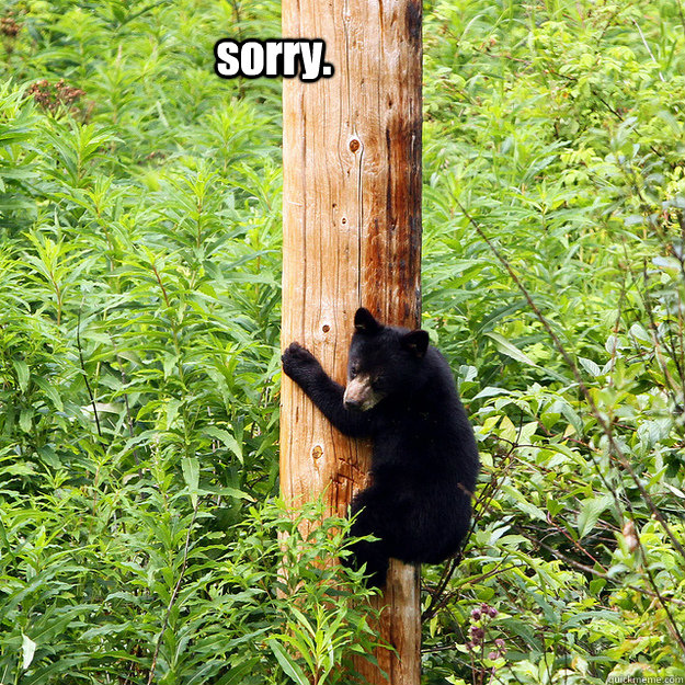 sorry. - sorry.  bear