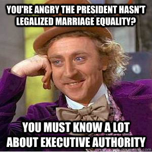 You're angry the president hasn't legalized marriage equality? You must know a lot about executive authority  willy wonka