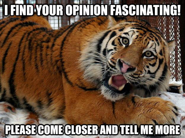 I find your opinion fascinating! Please come closer and tell me more  Fascinated Tiger