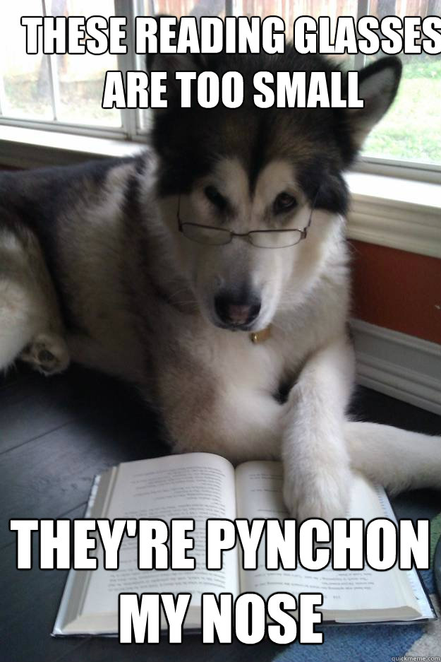 these reading glasses are too small they're pynchon my nose  Condescending Literary Pun Dog