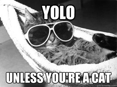 YOLO unless you're a cat  Cat sup