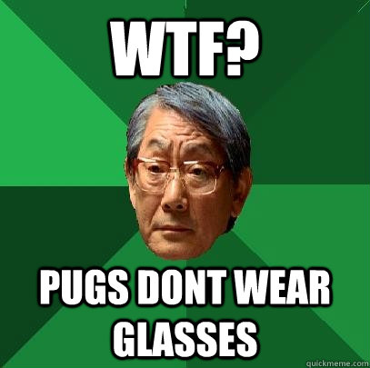 WTF? Pugs dont wear glasses  High Expectations Asian Father