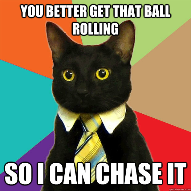 you better get that ball rolling so i can chase it  Business Cat