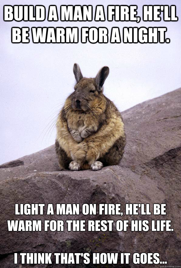 Build a man a fire, he'll be warm for a night. Light a man on fire, he'll be warm for the rest of his life.

I think that's how it goes... - Build a man a fire, he'll be warm for a night. Light a man on fire, he'll be warm for the rest of his life.

I think that's how it goes...  Wise Wondering Viscacha