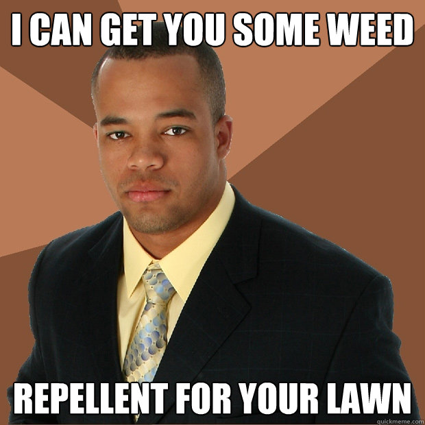 I can get you some weed repellent for your lawn  Successful Black Man