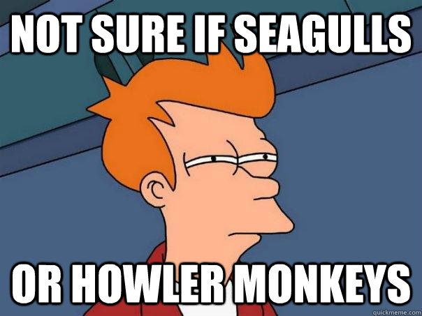 not sure if seagulls or howler monkeys - not sure if seagulls or howler monkeys  Futurama Fry